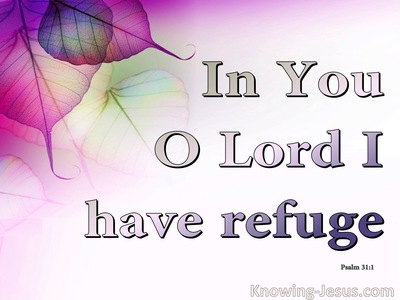 Psalm 31:1 In You I Have Refuge (white)